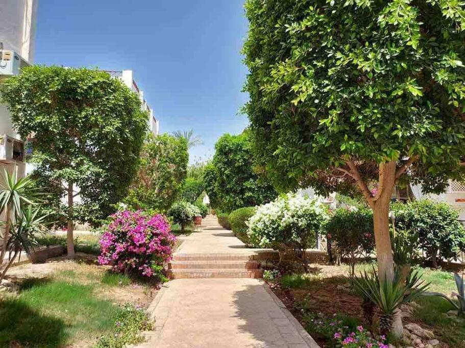 Riviera Resort Apartment - Pool View & Wifi Sharm el-Sheikh Exterior foto